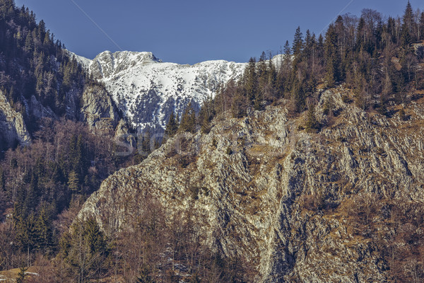 Stock fotó: Park · Romania · hegyek · tavasz · erdő · tájkép