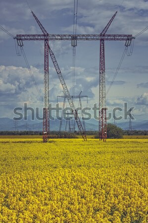 High-voltage electric energy distribution network Stock photo © photosebia