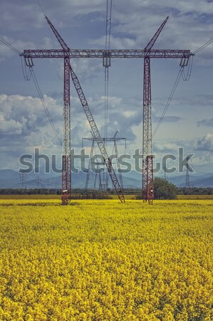 Stock photo: High-voltage electric energy distribution network