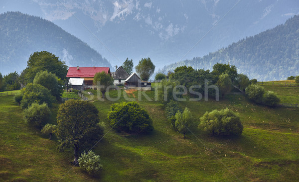 Wiejski górskich krajobraz Rumunia wiosna Zdjęcia stock © photosebia