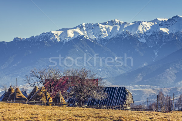 Alpine rural landscape Stock photo © photosebia