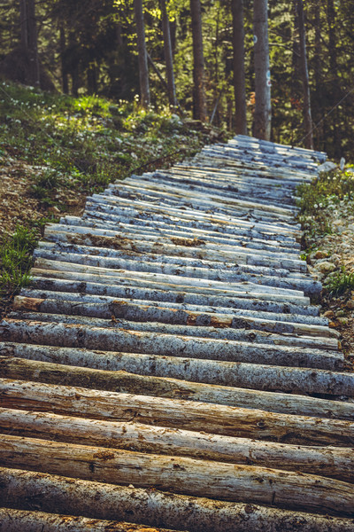 Wooden mountain bike trail or footpath Stock photo © photosebia