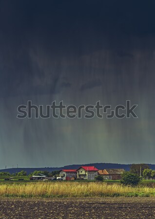 Heavy torrential rain Stock photo © photosebia