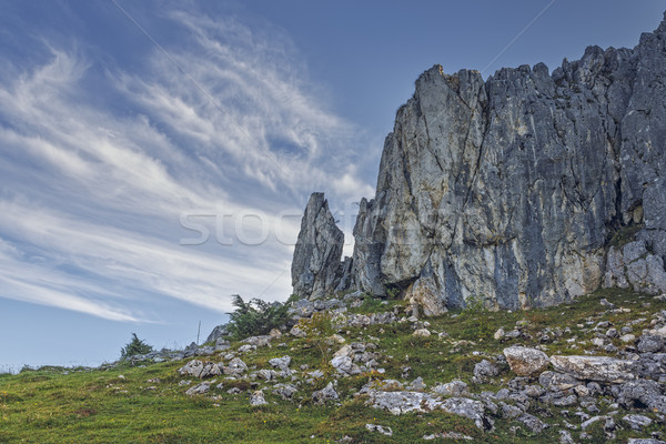 Alpine Romanian landscape Stock photo © photosebia