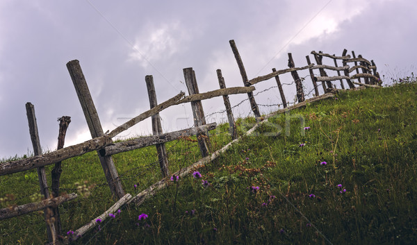 Rustic fence across a meadow Stock photo © photosebia