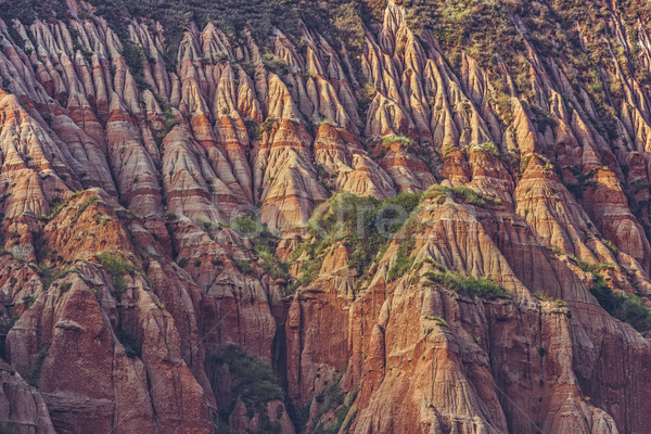 Rapa Rosie (Red Ravine), Sebes, Romania Stock photo © photosebia