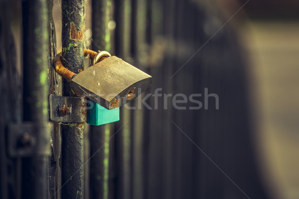 Padlocks of love on bridge Stock photo © photosebia