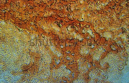 Mikroskopijny tekstury mineralny struktury mikroskopem edukacji Zdjęcia stock © photosebia