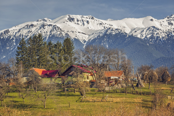 ルーマニア語 春 晴れた 山 伝統的な ストックフォト © photosebia