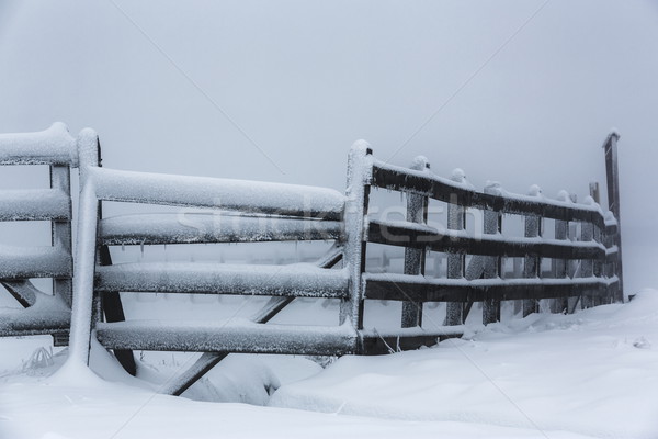 Frozen hoarfrost wooden fence Stock photo © photosebia