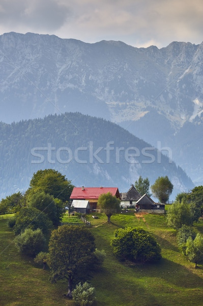 Rural mountain landscape, Transylvania, Romania Stock photo © photosebia