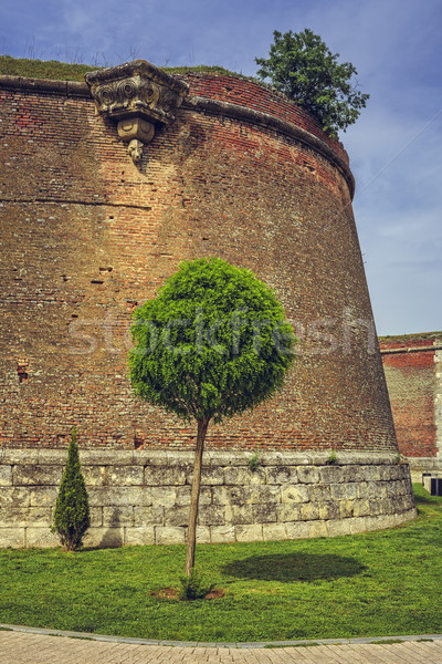 Befestigung Wände dekorativ Baum malerische Landschaft Stock foto © photosebia