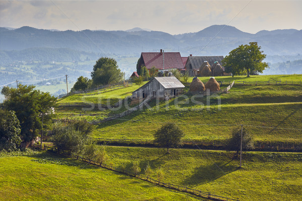Springtime rural scenery, Transylvania, Romania Stock photo © photosebia