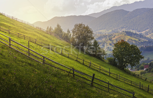 Green meadow and rustic fences Stock photo © photosebia
