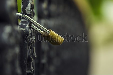 Padlock of love with heart Stock photo © photosebia