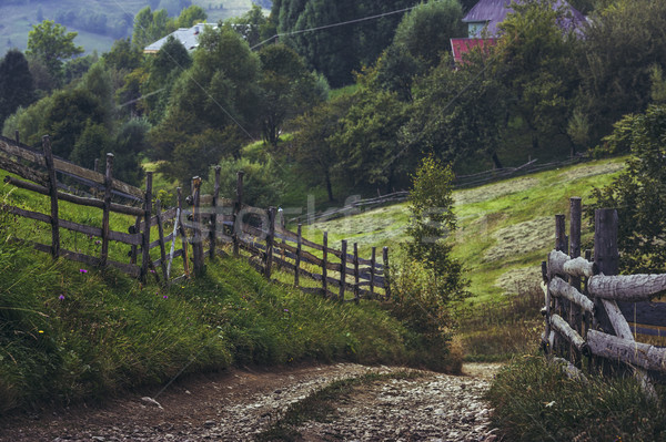 Stock photo: Transylvanian country road