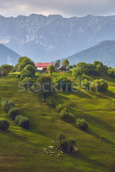 Wiejski górskich krajobraz Rumunia wiosna Zdjęcia stock © photosebia