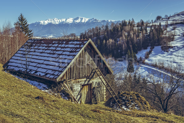 Rusztikus farm hagyományos román fából készült köteg Stock fotó © photosebia