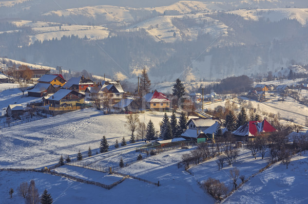 Winter platteland landschap traditioneel roemeense dorp Stockfoto © photosebia