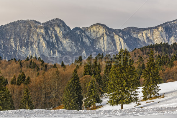 Postavaru mountains Stock photo © photosebia