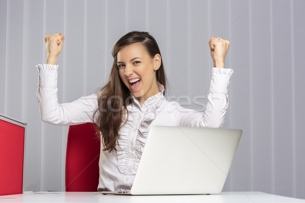 Excited female executive Stock photo © photosebia
