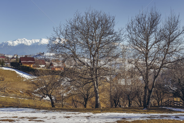 Idylliczny zimą rumuński wiosną w. Zdjęcia stock © photosebia