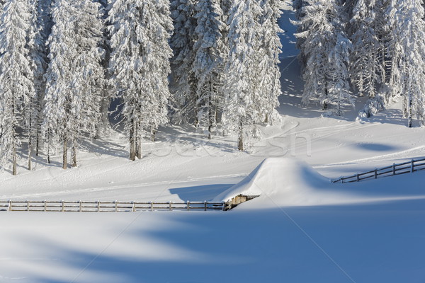 Stock fotó: Békés · alpesi · téli · díszlet · kunyhó · fából · készült