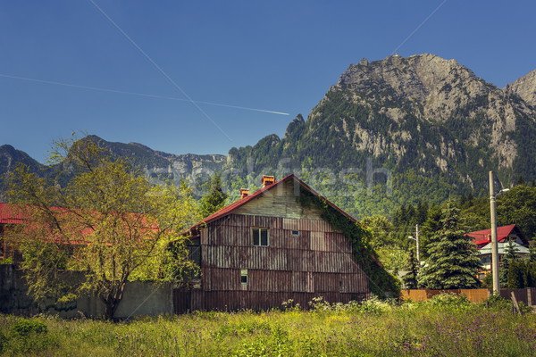 Summer mountain landscape Stock photo © photosebia