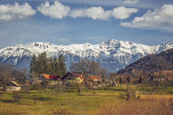 Roemeense platteland landschap voorjaar zonnige bergen Stockfoto © photosebia