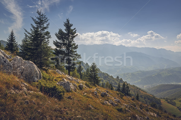 Сток-фото: осень · альпийский · утра · пейзаж