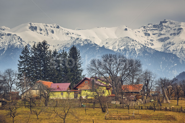 Stock fotó: Román · vidéki · táj · tavasz · hegyek · hagyományos · házak