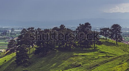 Sun and rain Stock photo © photosebia