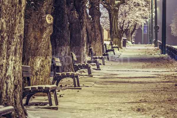 Deserted sidewalk in winter Stock photo © photosebia