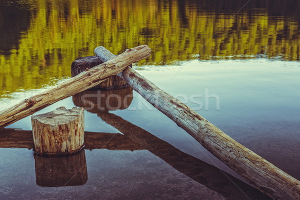 Stock photo: Stillness, bare tree trunks fallen in the water