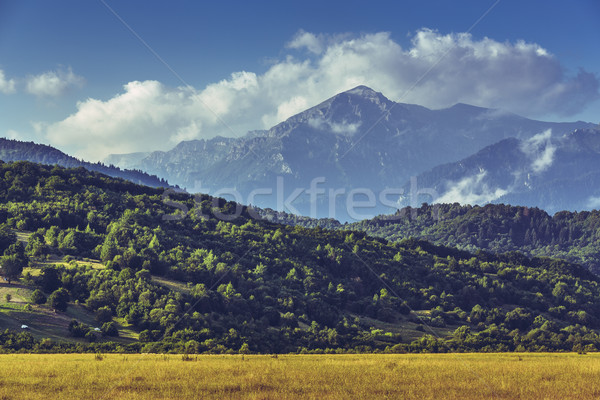 風光明媚な 山 風景 午前 栽培 ストックフォト © photosebia