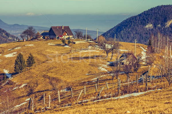 Roemeense landelijke scène vreedzaam traditioneel boerderij regio Stockfoto © photosebia