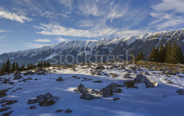 Legelő hegyek Romania idilli alpesi tél Stock fotó © photosebia