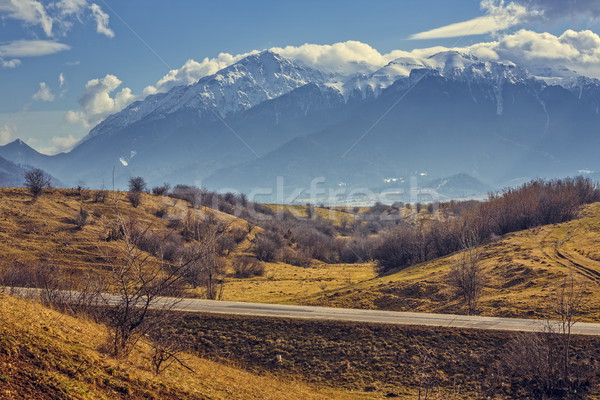 Góry dekoracje spokojny wiosną drogowego Zdjęcia stock © photosebia