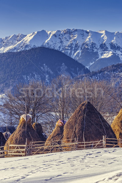 Ferme hiver traditionnel roumain moutons [[stock_photo]] © photosebia