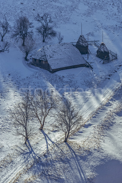 [[stock_photo]]: Rural · simplicité · idyllique · ensoleillée · hiver · paysage