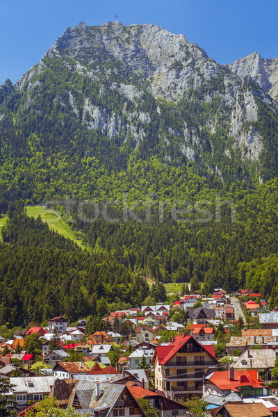 Verão montanha paisagem ensolarado montanhas esquiar Foto stock © photosebia