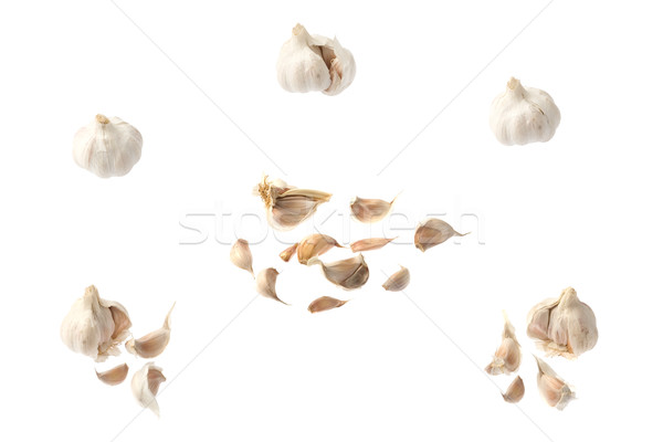 Alho coleção isolado branco comida Foto stock © photosil