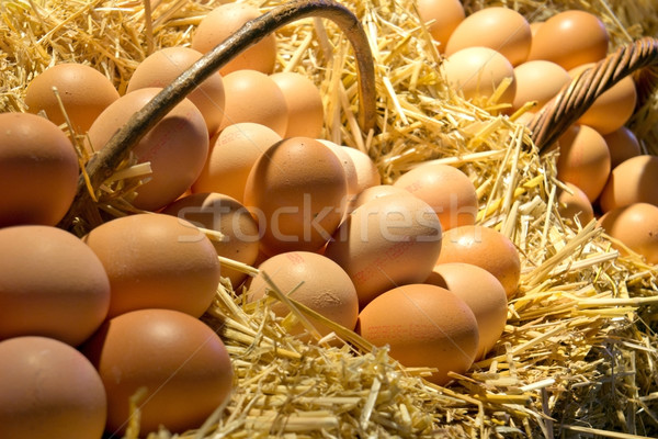 Fresh eggs Stock photo © photosil