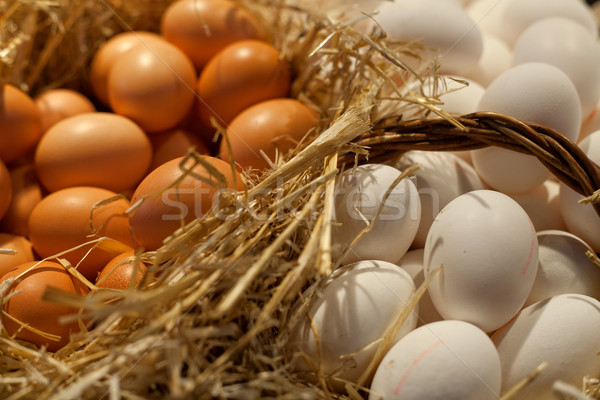 Stockfoto: Eieren · bruin · witte · stro · Pasen · ei