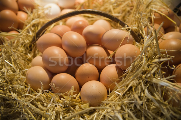 Vers eieren stro mand markt voedsel Stockfoto © photosil