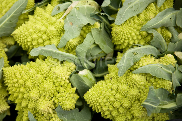 Broccoli type kool Italië markt achtergrond Stockfoto © photosil