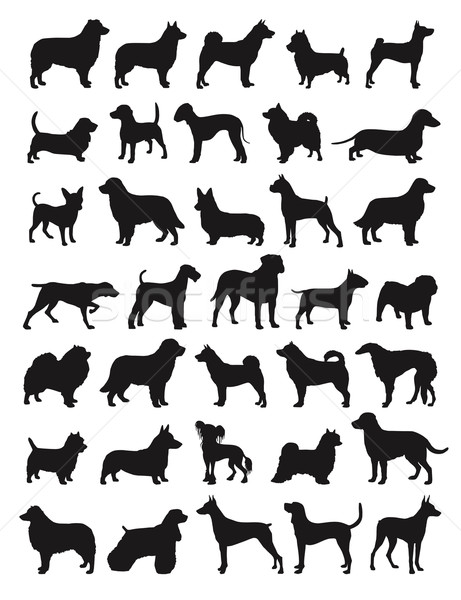 Populaire chien beaucoup espèce silhouettes animaux [[stock_photo]] © photosoup