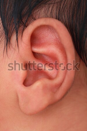 Stock photo: close-up of baby's left ear