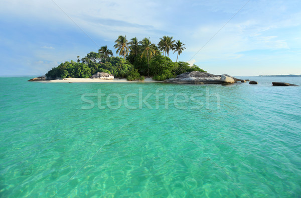 Tropical island mükemmel plaj gökyüzü doğa deniz Stok fotoğraf © photosoup