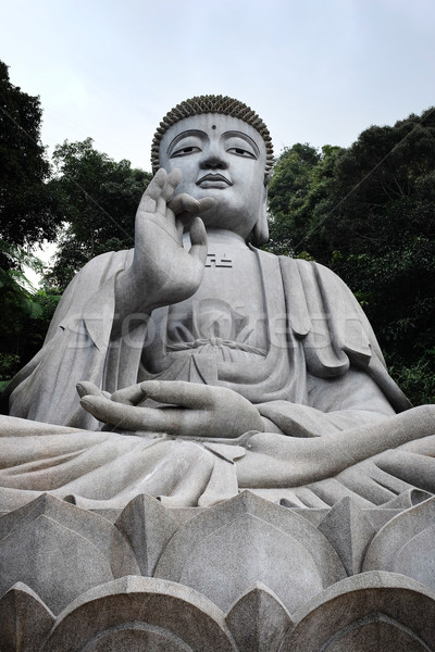 Nagy kő Buddha szobor esőerdő kő Stock fotó © photosoup